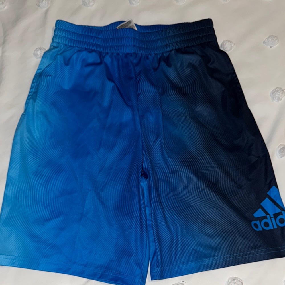 Adidas Blue Athletic Performance Shorts